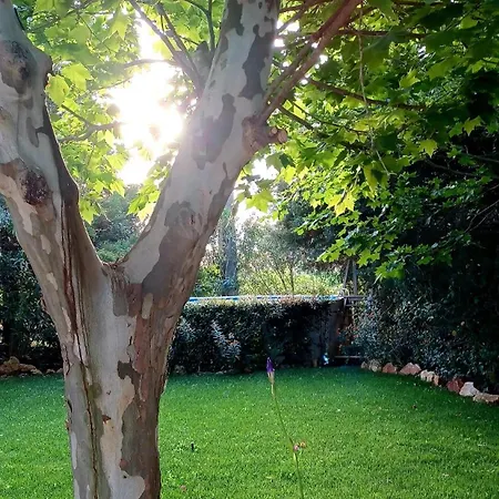 Quinta De Loubite - Lagoa, Algarve, Portugal 假日公园 拉戈阿