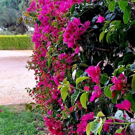 Holiday park Quinta De Loubite - Lagoa, Algarve, Portugal Lagoa (Algarve)
