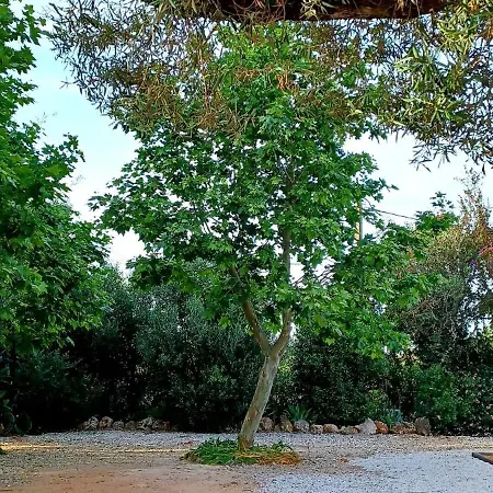 منتزه العطل Quinta De Loubite - Lagoa, Algarve, Portugal *