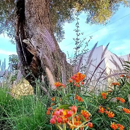 منتزه العطل Quinta De Loubite - Lagoa, Algarve, Portugal *